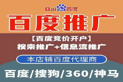 案例研究：SEM优化助力品牌知名度